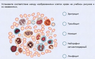 Интерактивные курсы. Биология 11 класс. Расширенный. - fgospostavki.ru - Белогорск