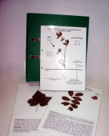 Гербарий к курсу основ общей биологии (20 листов, ламинированный) - fgospostavki.ru - Белогорск