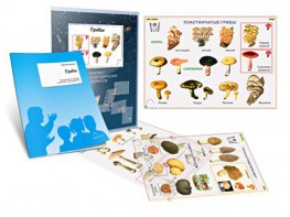 Комплект кодотранспарантов "Грибы" - fgospostavki.ru - Белогорск