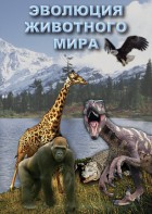 DVD "Эволюция животного мира" - fgospostavki.ru - Белогорск