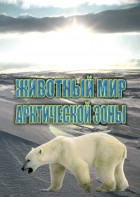 DVD "Животный мир Арктической зоны" - fgospostavki.ru - Белогорск