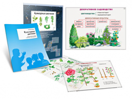 Комплект кодотранспарантов "Культурные растения" - fgospostavki.ru - Белогорск