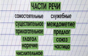 Набор магнитных карточек "Части речи" (фон зелёный) - fgospostavki.ru - Белогорск