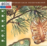 Ботаника. Микрофотографии. (Цифровая база изображений) - fgospostavki.ru - Белогорск