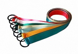Лента гимнастическая на кольце (0,25 метра) - fgospostavki.ru - Белогорск