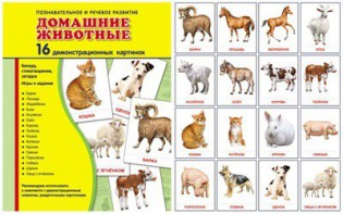 Демонстрационные карточки "Домашние животные" - fgospostavki.ru - Белогорск