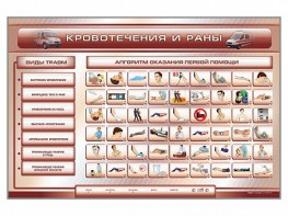 Трехсекционный базовый комплект "Травмы. Кровотечения. Ожоги" для учащихся общеобразовательных учреждений - fgospostavki.ru - Белогорск