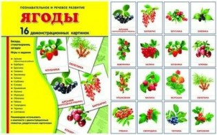 Демонстрационные карточки "Ягоды" - fgospostavki.ru - Белогорск