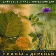 Растения средней полосы России "Травы и Деревья". (Цифровые атласы-определители) - fgospostavki.ru - Белогорск