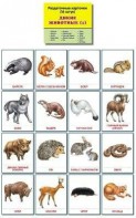 Раздаточные карточки "Дикие животные (1)" - fgospostavki.ru - Белогорск
