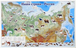 Магнитные карточки "Животные" - fgospostavki.ru - Белогорск