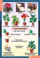 Комплект таблиц. Окружающий мир 1 класс. - fgospostavki.ru - Белогорск