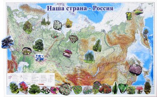 Магнитные карточки "Растения" - fgospostavki.ru - Белогорск