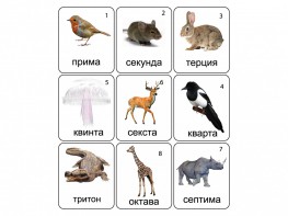 Набор магнитных карточек по музыке "Животные" (9 штук) - fgospostavki.ru - Белогорск