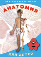 DVD "Анатомия для детей" - fgospostavki.ru - Белогорск