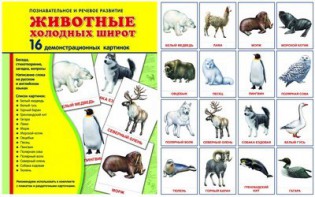 Демонстрационные карточки "Животные холодных широт" - fgospostavki.ru - Белогорск