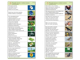 Комплект карточек (10) "Обучающий калейдоскоп. Природа" - fgospostavki.ru - Белогорск