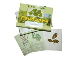 Гербарий "Дикорастущие растения" (30 видов, с иллюстрациями) - fgospostavki.ru - Белогорск