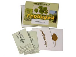 Гербарий "Лекарственные растения" (22 вида с иллюстрациями) - fgospostavki.ru - Белогорск