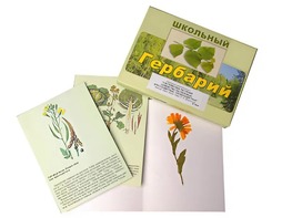 Гербарий "Систематика растений. Семейство Пасленовые. Крестоцветные. Сложноцветные" (раздаточный) - fgospostavki.ru - Белогорск