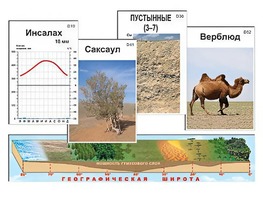 Модель-аппликация "Природные зоны" - fgospostavki.ru - Белогорск