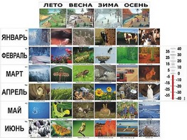 Фенологические наблюдения - fgospostavki.ru - Белогорск