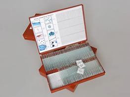 Комплект микропрепаратов "Ботаника 2" - fgospostavki.ru - Белогорск