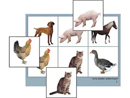 Логопедическое лото "Домашние животные" (4 планшета, 24 карточки, цветное, ламинированное) - fgospostavki.ru - Белогорск