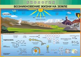 Таблица "Возникновение жизни на земле" (100х140 сантиметров, винил) - fgospostavki.ru - Белогорск