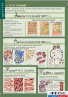 Комплект таблиц. Биология 8-9 класс. Человек. - fgospostavki.ru - Белогорск
