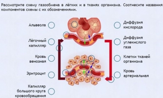 Интерактивные курсы. Биология 9 класс. Расширенный. - fgospostavki.ru - Белогорск