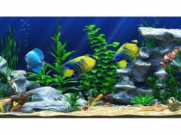 Интерактивный аттракционный комплекс "Водный мир" - fgospostavki.ru - Белогорск