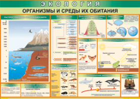 Таблица "Организмы и среды их обитания" (100х140 сантиметров, винил) - fgospostavki.ru - Белогорск