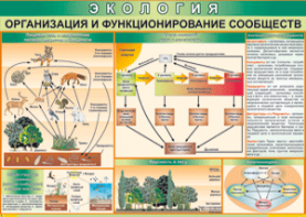 Таблица "Организация и функционирование сообществ" (100х140 сантиметров, винил) - fgospostavki.ru - Белогорск