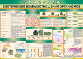 Таблица "Биотические взаимоотношения организмов" (100х140 сантиметров, винил) - fgospostavki.ru - Белогорск