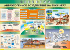 Таблица "Антропогенное воздействие на биосферу" (100х140 сантиметров, винил) - fgospostavki.ru - Белогорск