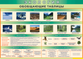 Таблица "Экология. Обобщающие таблицы" (100х140 сантиметров, винил) - fgospostavki.ru - Белогорск