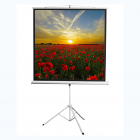 Экран на штативе DSKD-1105  - fgospostavki.ru - Белогорск