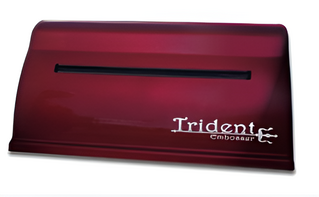 Принтер для печати рельефно-точечным шрифтом Брайля Trident - fgospostavki.ru - Белогорск