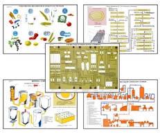 Плакаты ПРОФТЕХ "Сырье и материалы хлебопекарного производства" (20 пл, винил, 70х100) - fgospostavki.ru - Белогорск