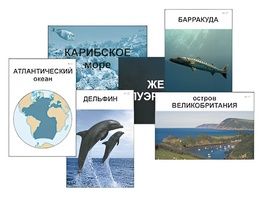 Модель-аппликация "Океаны. Знакомство" (ламинированная) - fgospostavki.ru - Белогорск