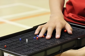 Сетка для игры тактильная (Бочча) - fgospostavki.ru - Белогорск