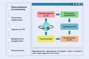 Интерактивные курсы. Информатика 10 класс . Базовый. - fgospostavki.ru - Белогорск