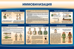 Стенд "Иммобилизация" - fgospostavki.ru - Белогорск
