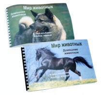 Пособие для слабовидящих - Домашние животные - fgospostavki.ru - Белогорск