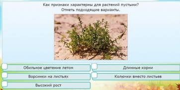 Интерактивные курсы. Окружающий мир 3 класс . Базовый. - fgospostavki.ru - Белогорск