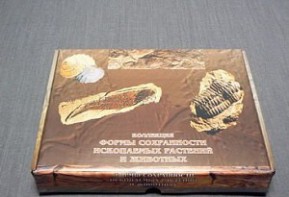 Коллекция "Формы сохранности ископаемых растений и животных" - fgospostavki.ru - Белогорск
