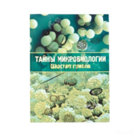 Набор «Тайны микробиологии» (Царство грибов) - fgospostavki.ru - Белогорск