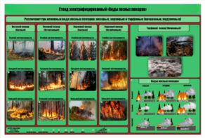Стенд-планшет электрифицированный «Виды лесных пожаров»  - fgospostavki.ru - Белогорск