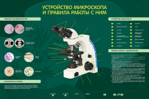 Электрифицированный стенд "Устройство микроскопа и правила работы c ним" - fgospostavki.ru - Белогорск